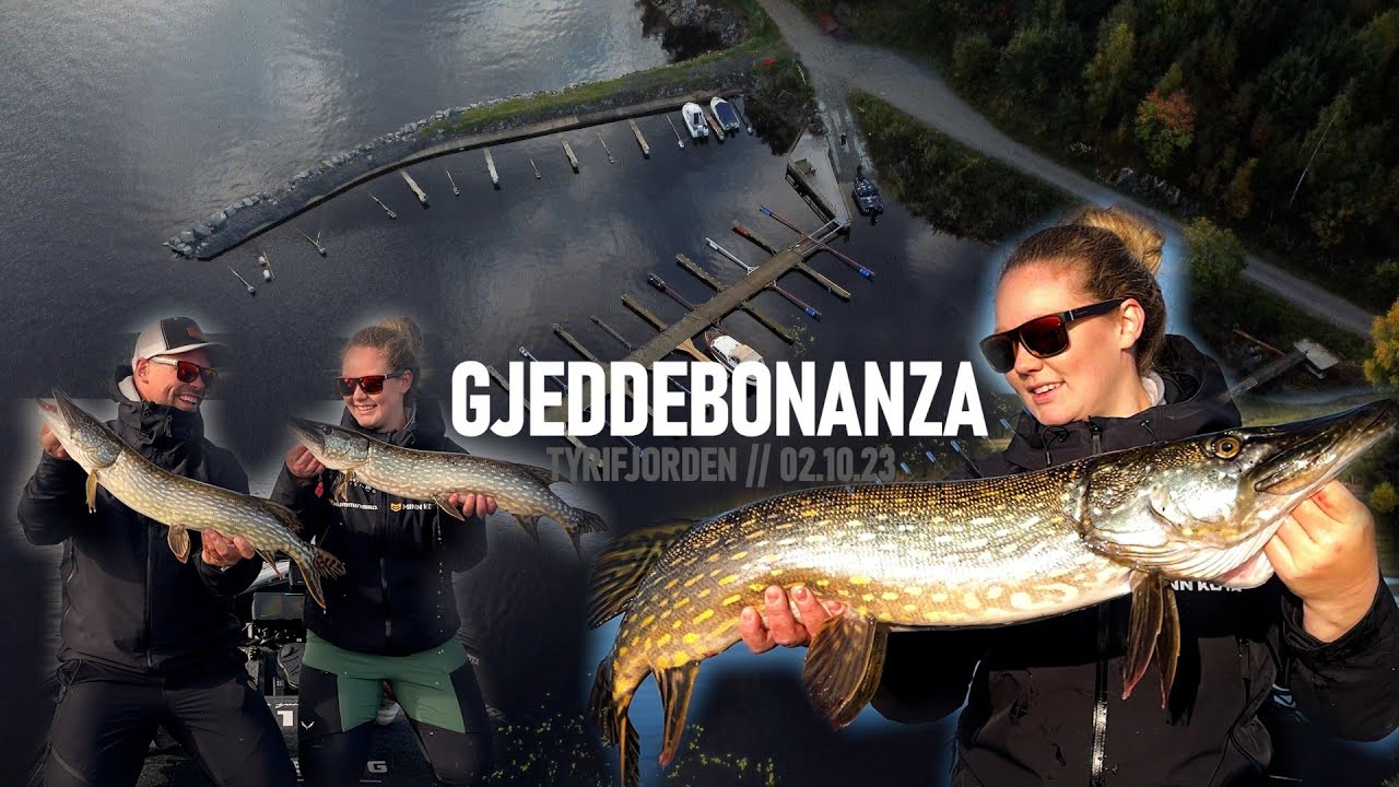 GJEDDEBONANZA på Tyrifjorden // Høstfiske etter GJEDDE & ABBOR // VLOG#27