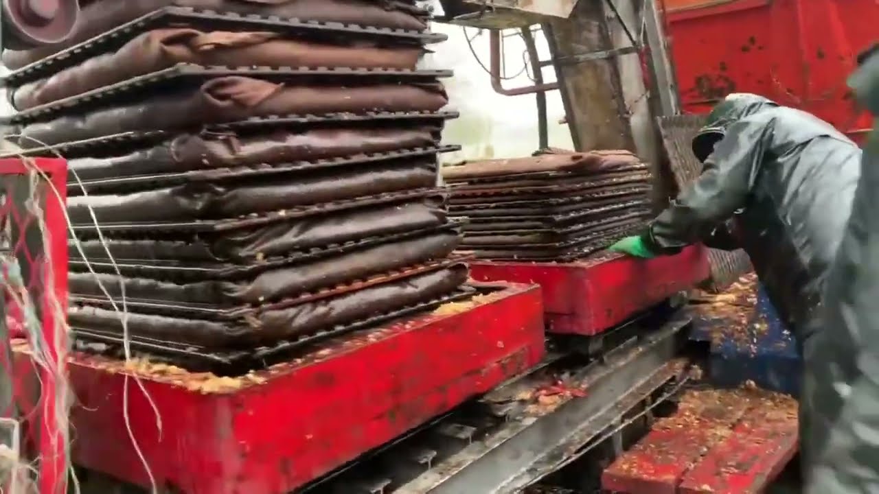 Pressage des pommes