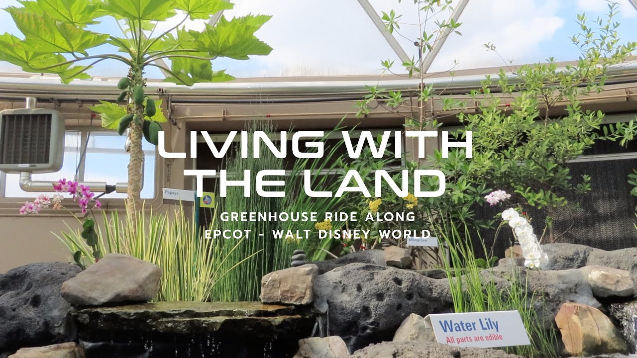Living With The Land Greenhouse | Epcot | Walt Disney World | Right side ride along. Feb. 2021
