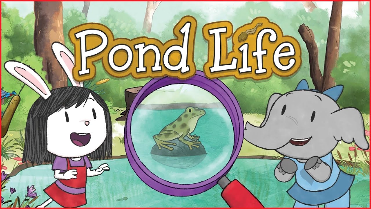 Elinor Wonders Why: Gameplay Walkthrough Part 4 - Pond Life