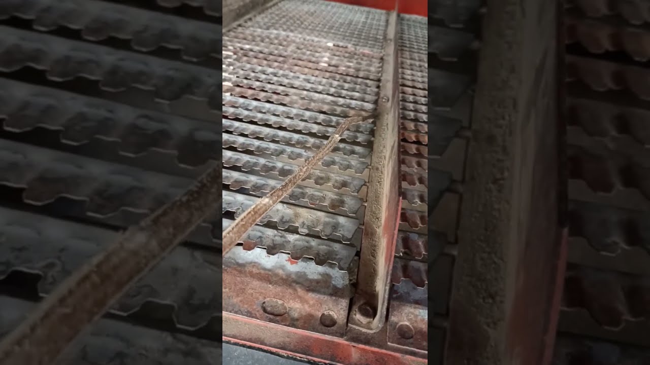 Теперь только чистое зерно в бункер .