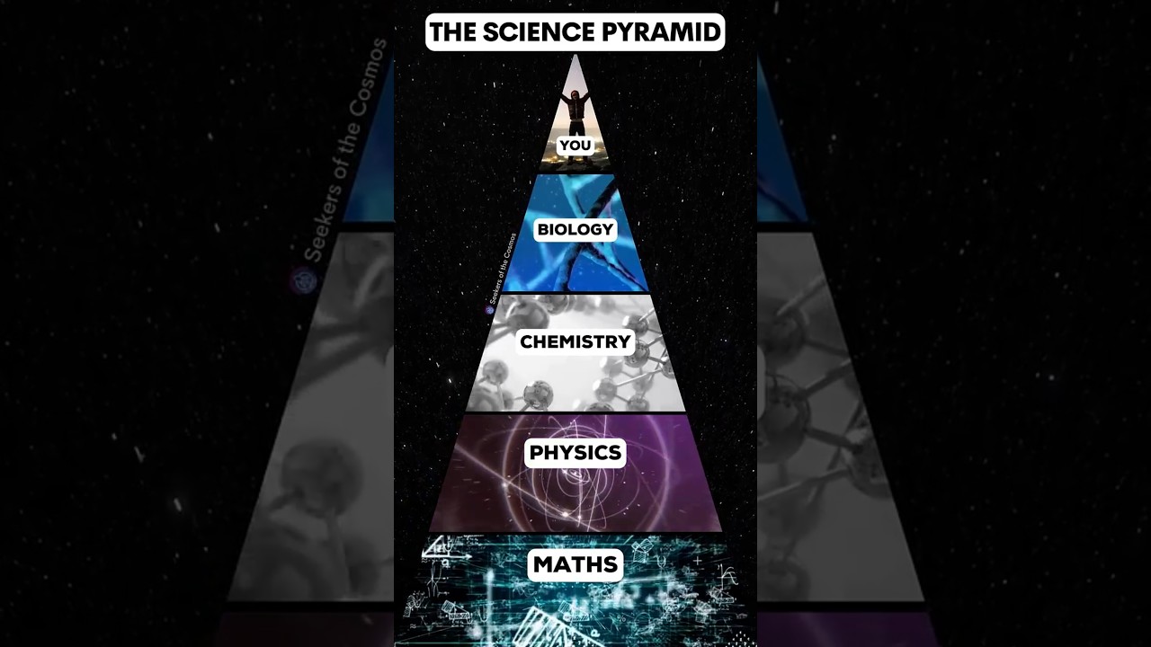 The Science Pyramid ⚛️ Which is Your Favorite Subject?