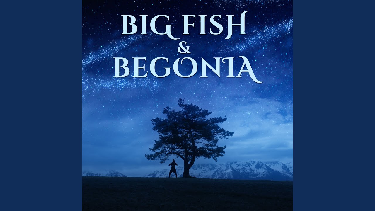 Big Fish & Begonia