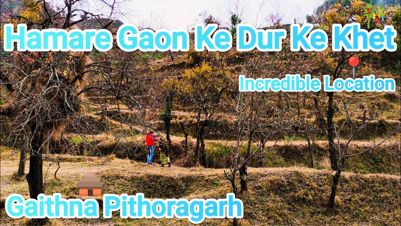 Hamare Gaon Ke Dur Ke Khet |IncredibleLocation| GaithnaPithoragarh |Vikramncvlogs🎥