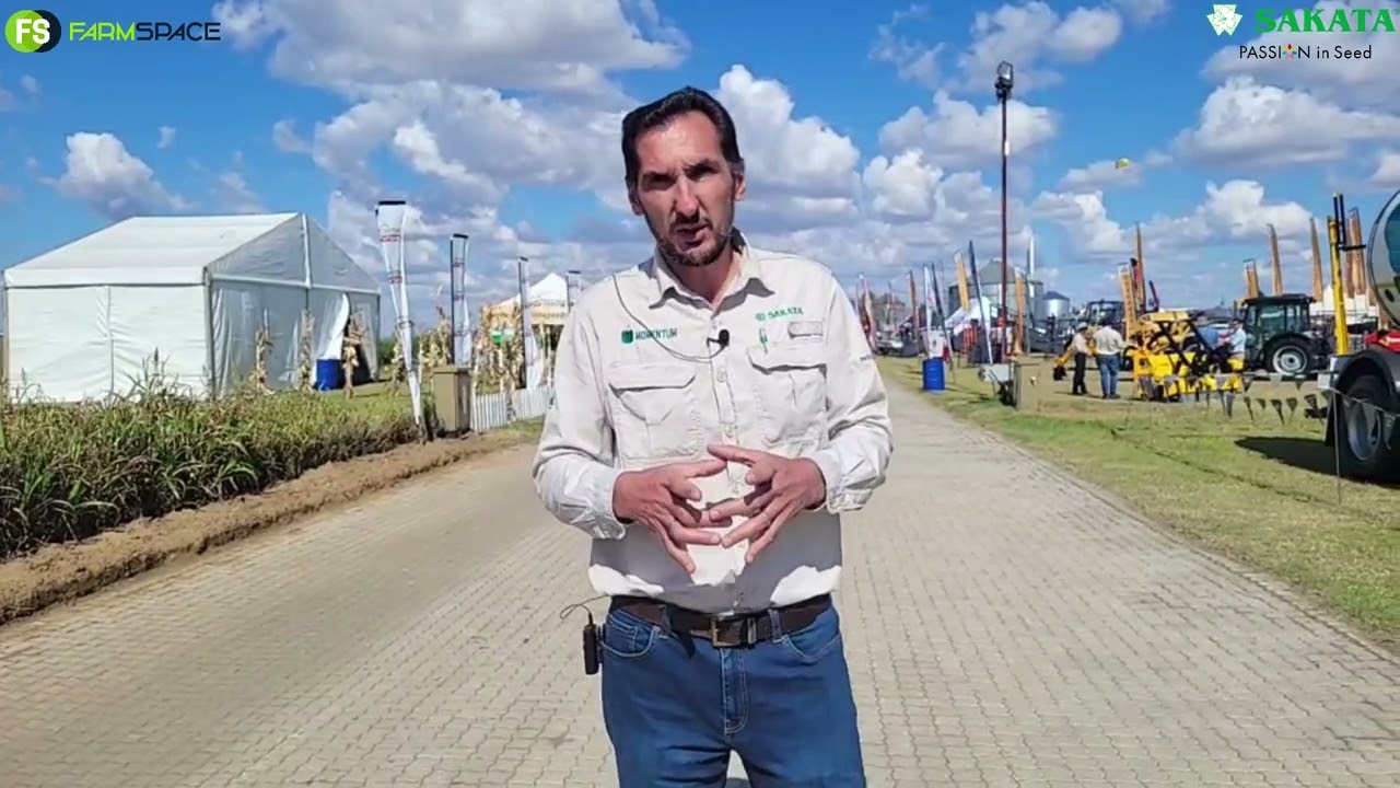 Sakata Seed at Nampo 2022 - Tomatoes and Peppers