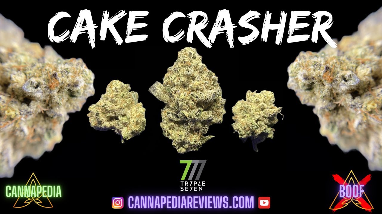 Cake Crasher Strain Review - Triple Seven - Cannapedia