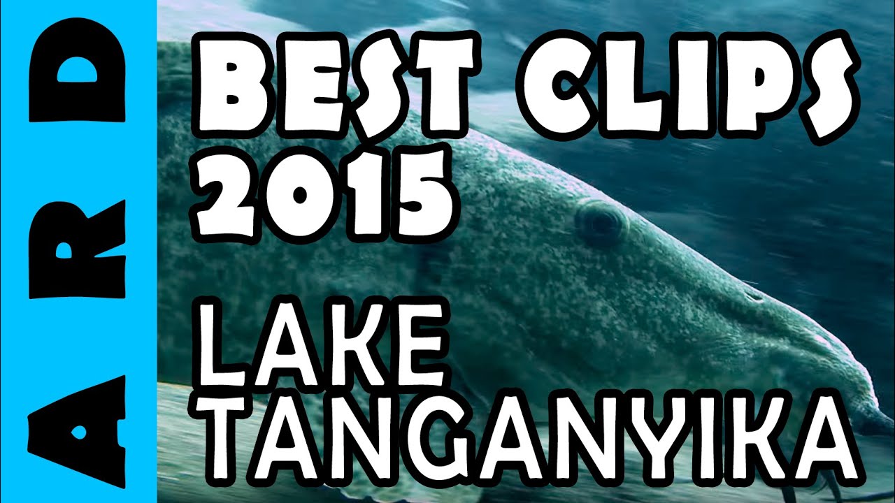 Lake Tanganyika - 2015