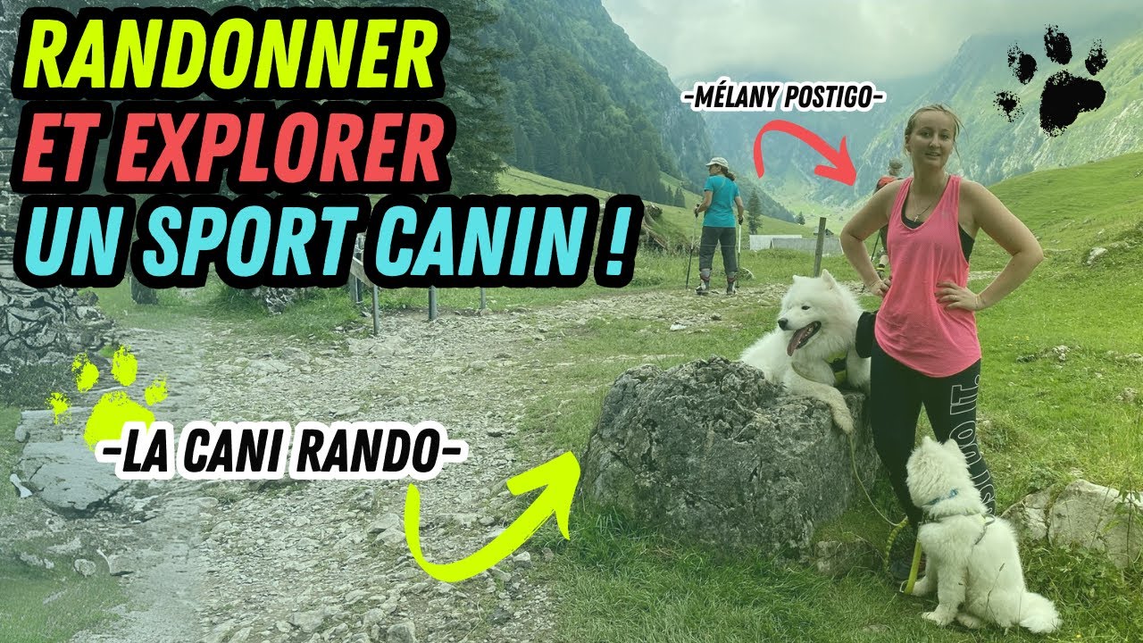 Découvrez la CANIRANDO - Un sport canin avec Votre Chien !