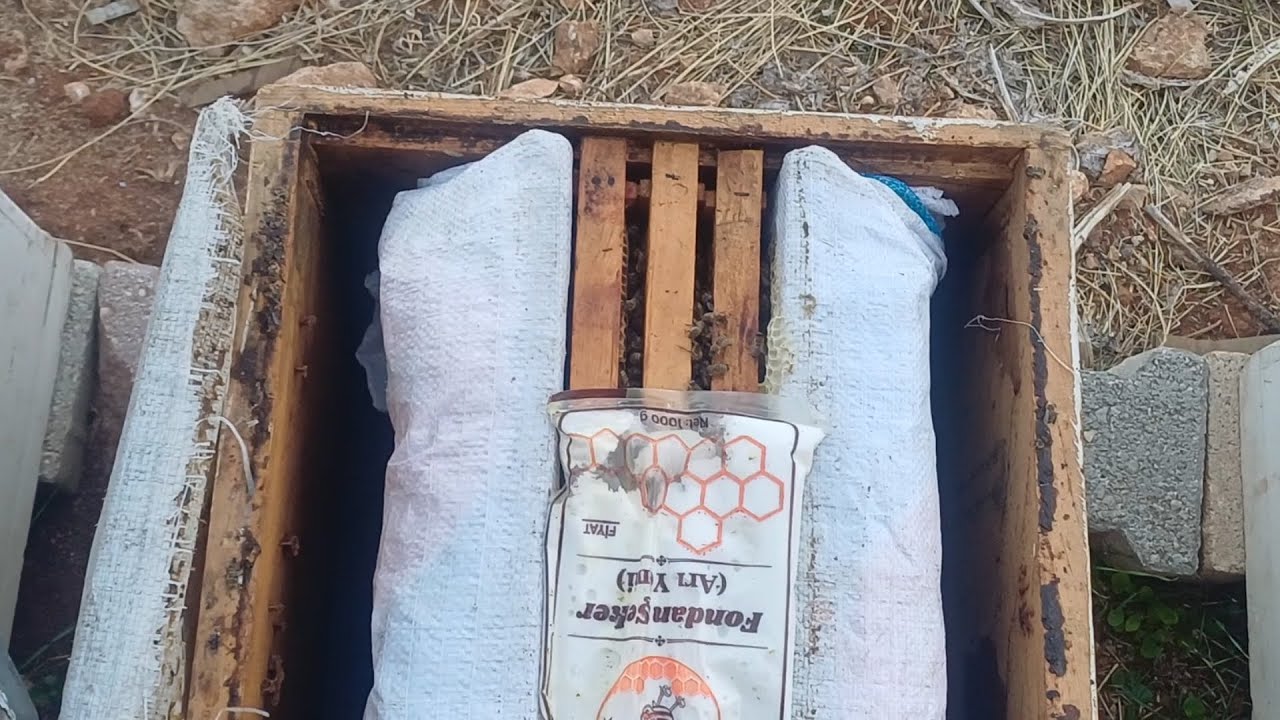 KIŞLIK KOVAN İZALASYONU YAPTIK GÖZLE GÖRÜLÜR FARK VAR SİZDE MUTLAKA ARINIZI SIKIŞTIRIN