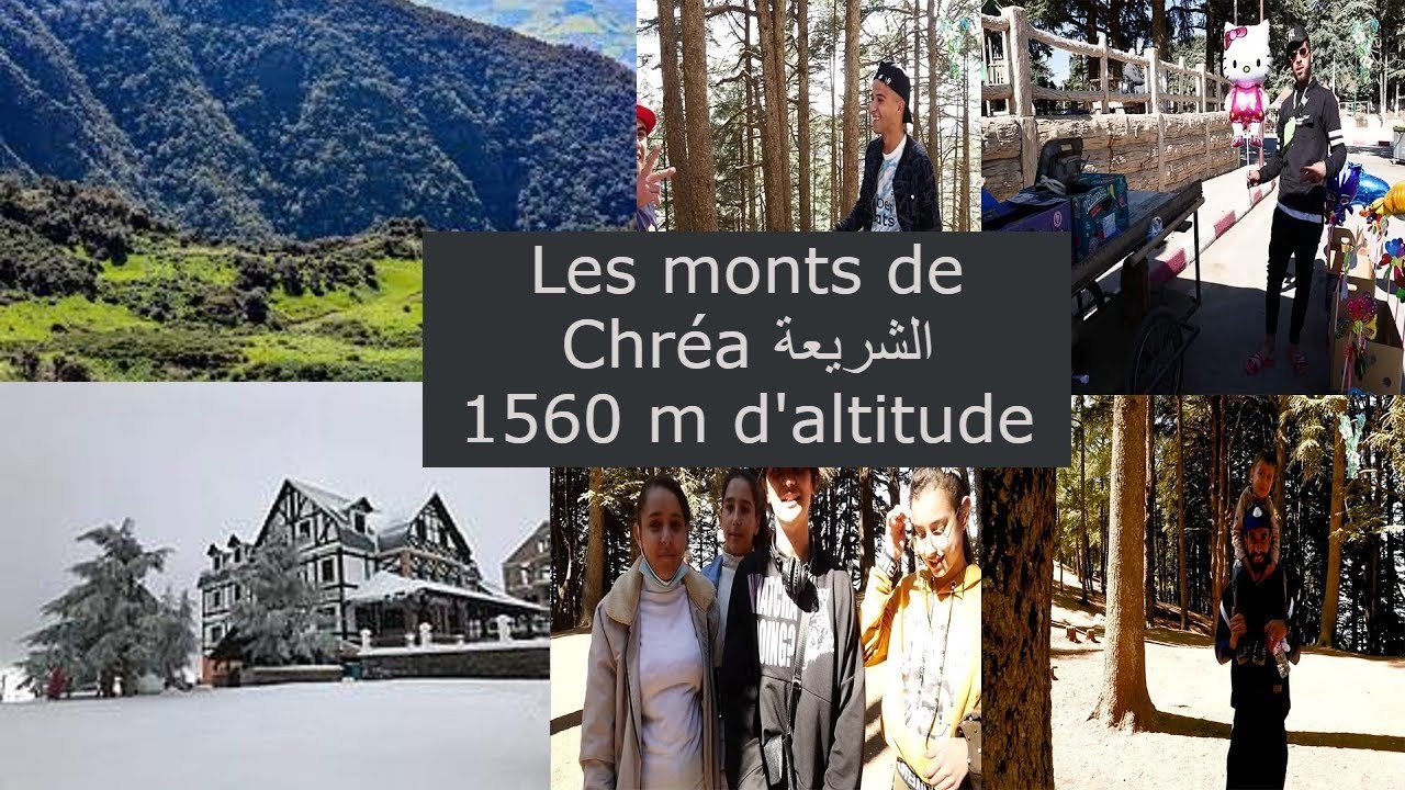 Une tournée dans les monts de Chréa (Blida) الشريعة 2021