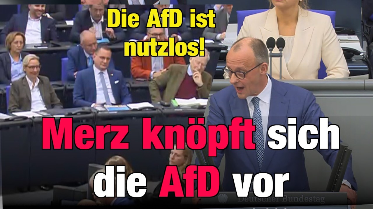 Merz kn&ouml;pft sich die AfD vor und wird deutlich | Da werden Sie nicht gebraucht!
