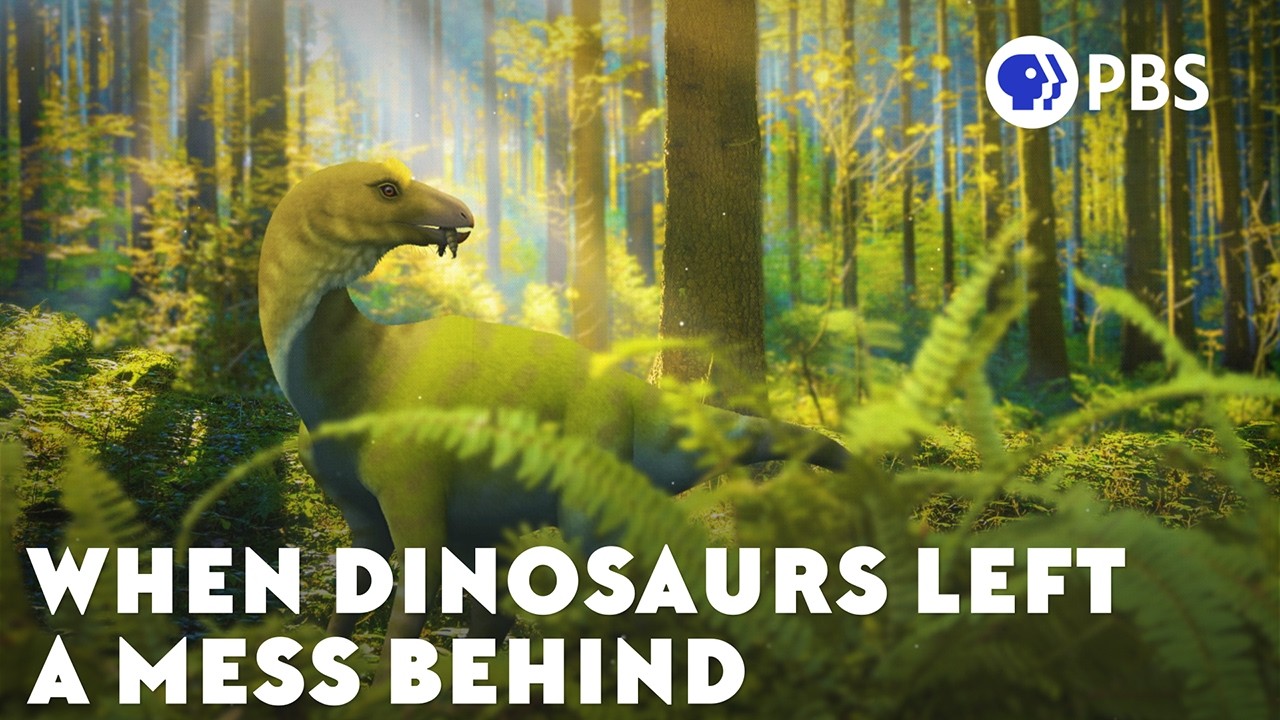 When Dinosaurs Threw Up A Mystery