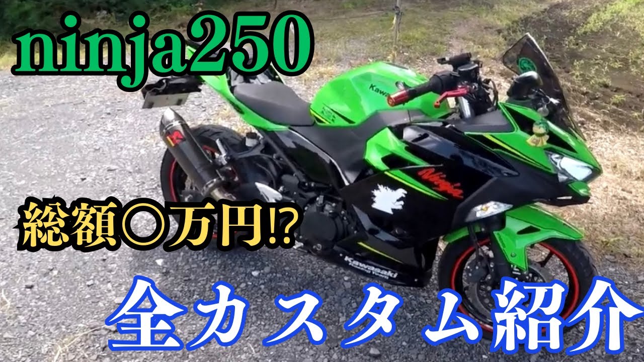ninja250に施したカスタムの全て