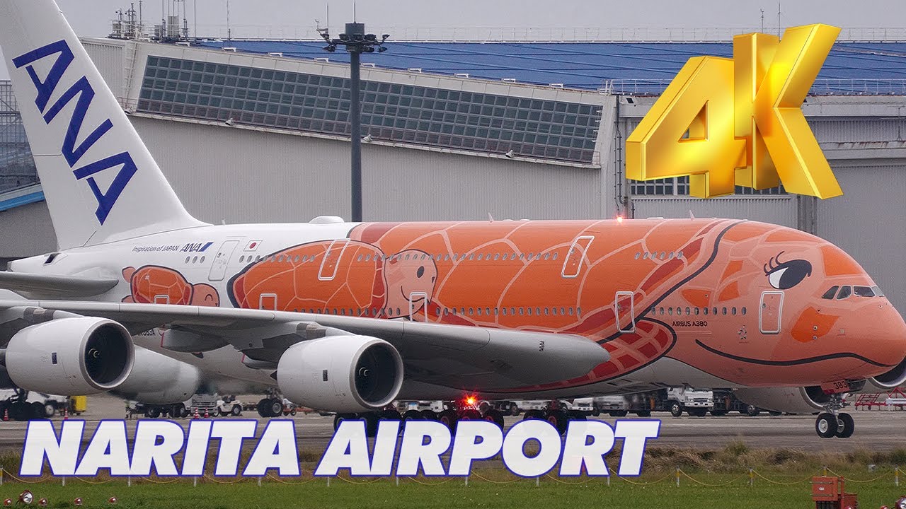 [4K] お待たせしました! ホヌ3号機が成田空港に到着! ANA A380 FLYING HONU