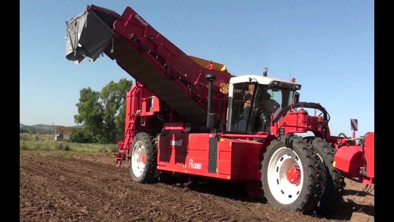 Dewulf RJ3060 - 2-row self-propelled potato harvester
