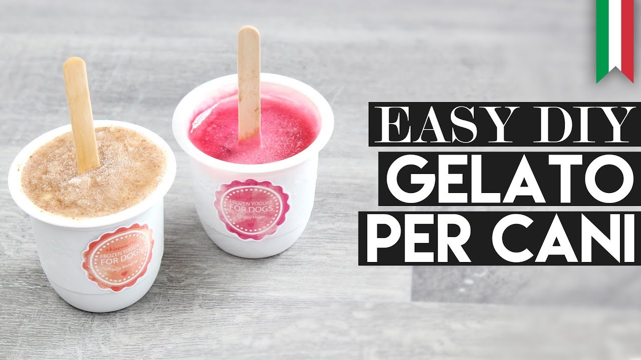 GELATO PER CANI DIY | RICETTA