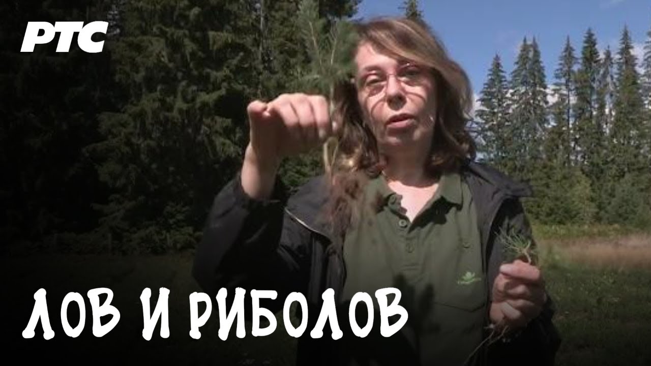 Šumsko gazdinstvo Prijepolje | Prvi deo | LOV I RIBOLOV