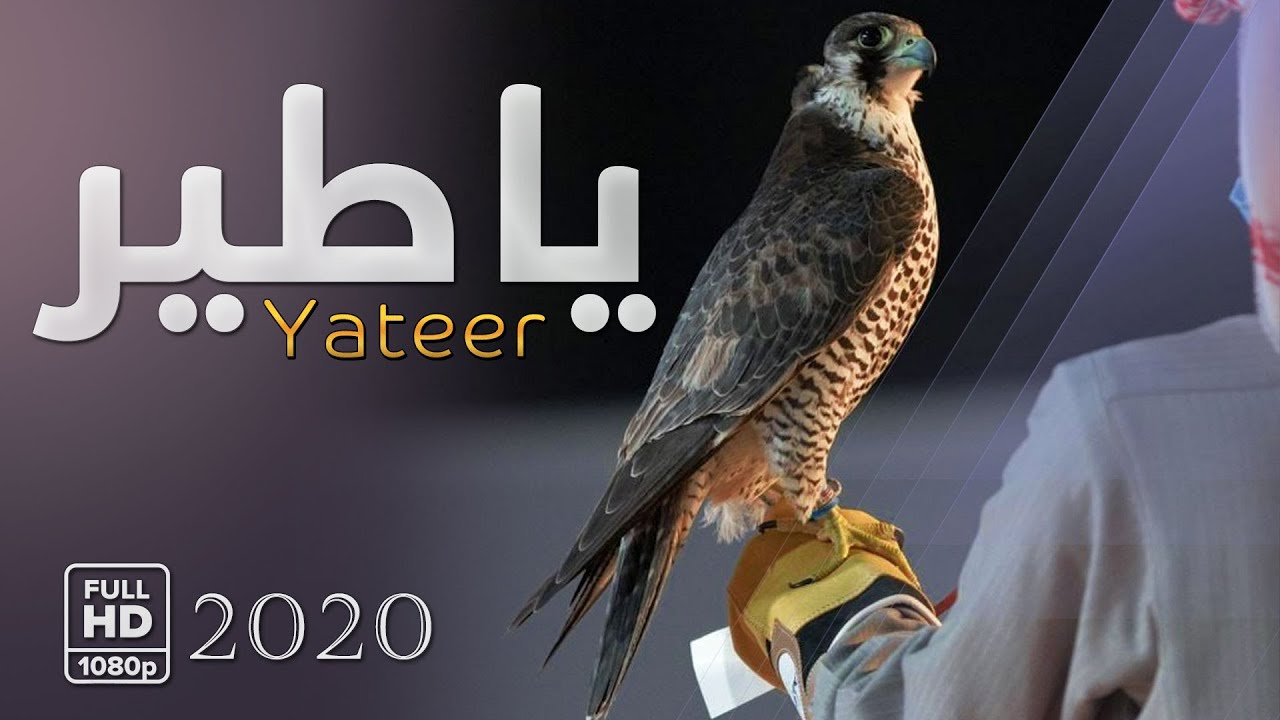 شيلة يا طير كلمات عوده صويدر العروي أداء خالد الجهني