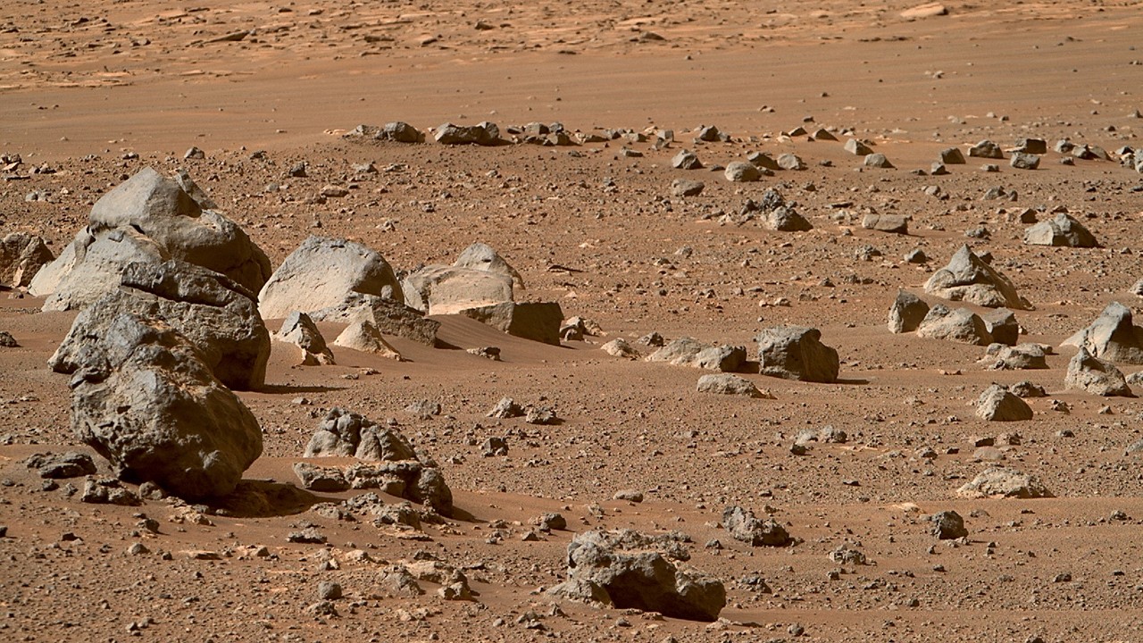 El rover Perseverance tiene 