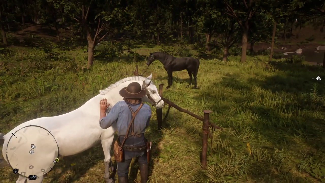 RDR2 TIPS TRICKS // HoW To STeaL BraitHwaiTe Arabian HorSes