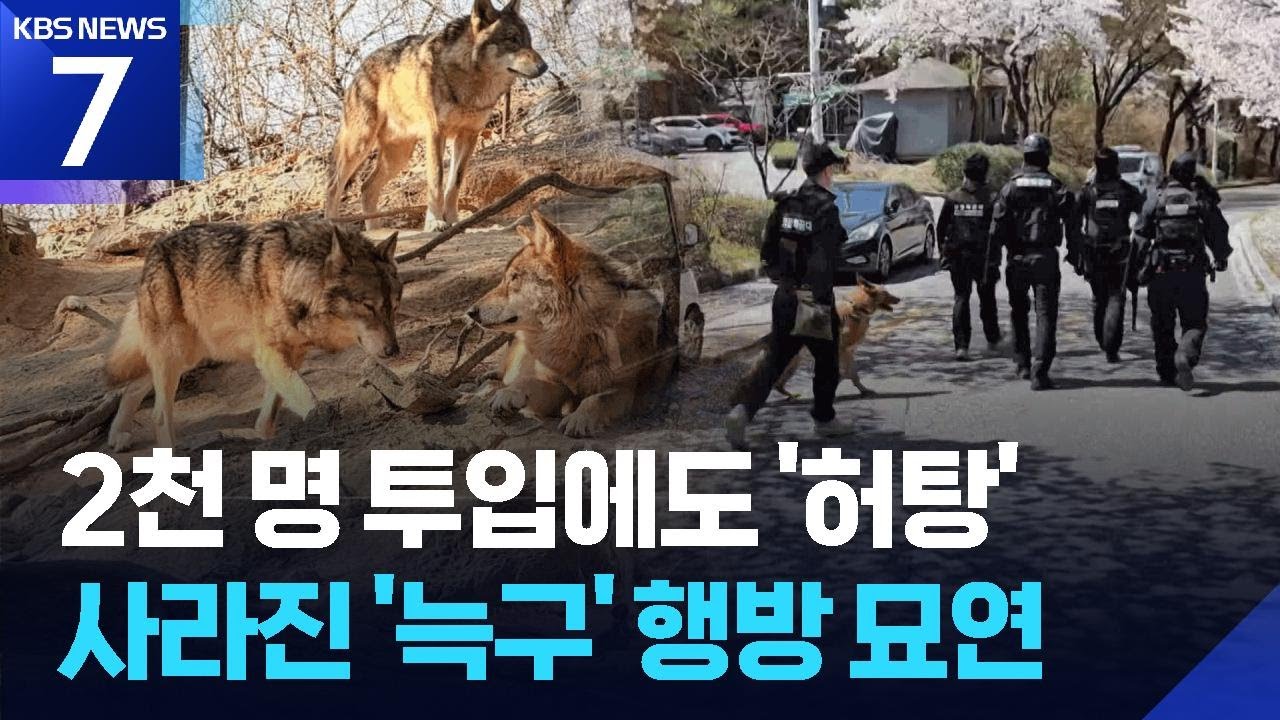 사라진 늑대 &lsquo;늑구&rsquo;&hellip;&ldquo;수색 방식 전환 검토&rdquo; / KBS  2026.04.13.