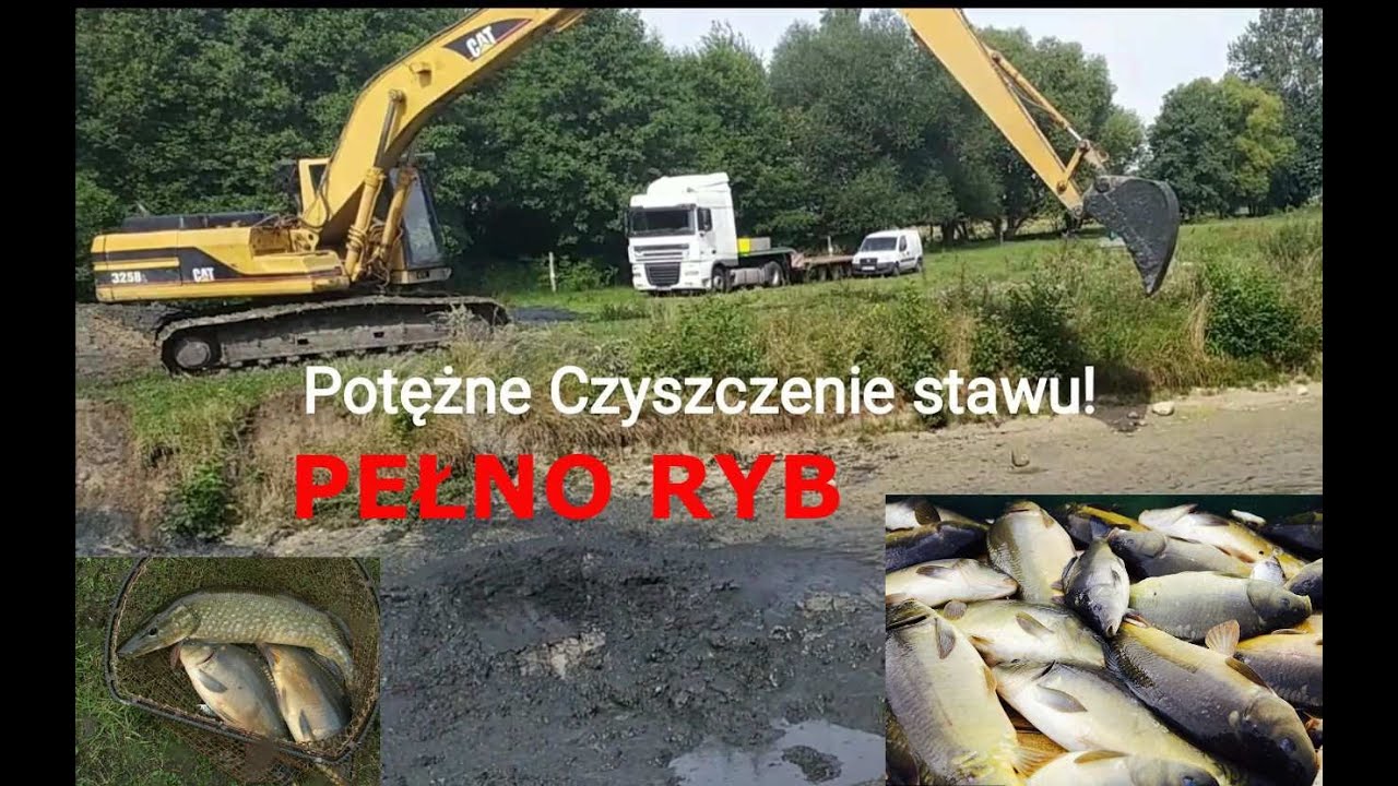 WIELKIE CZYSZCZENIE STAWU CZĘŚĆ 1