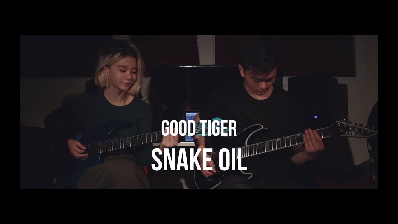Good Tiger - Snake Oil [Cover by Timothy Mah & Abigail Zachko]