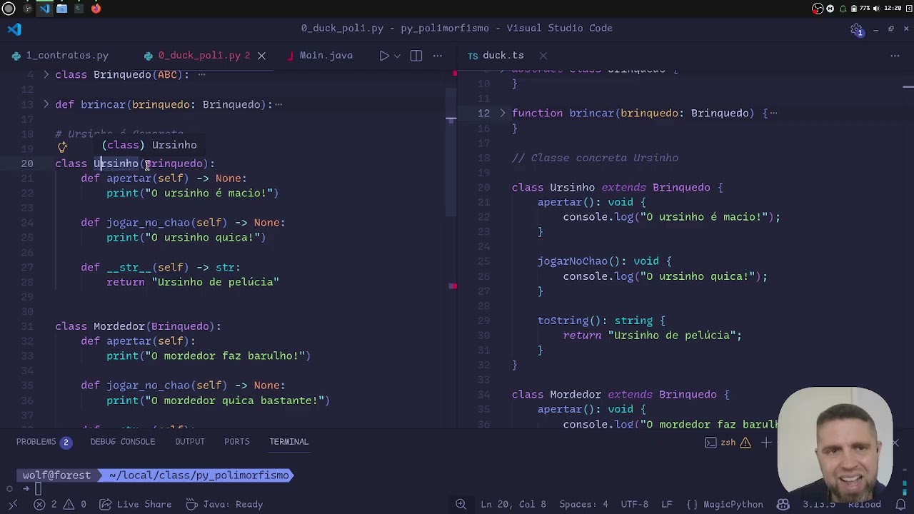 Introdução ao Polimorfismo em Python