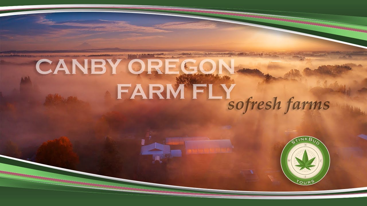 sofresh farms Fly-Through