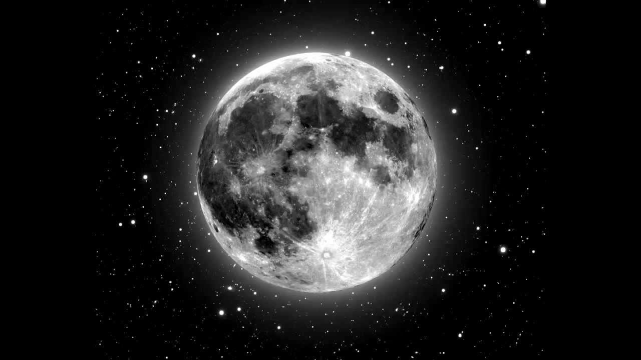 Los Insectos - Rayos De La Luna (Audio)
