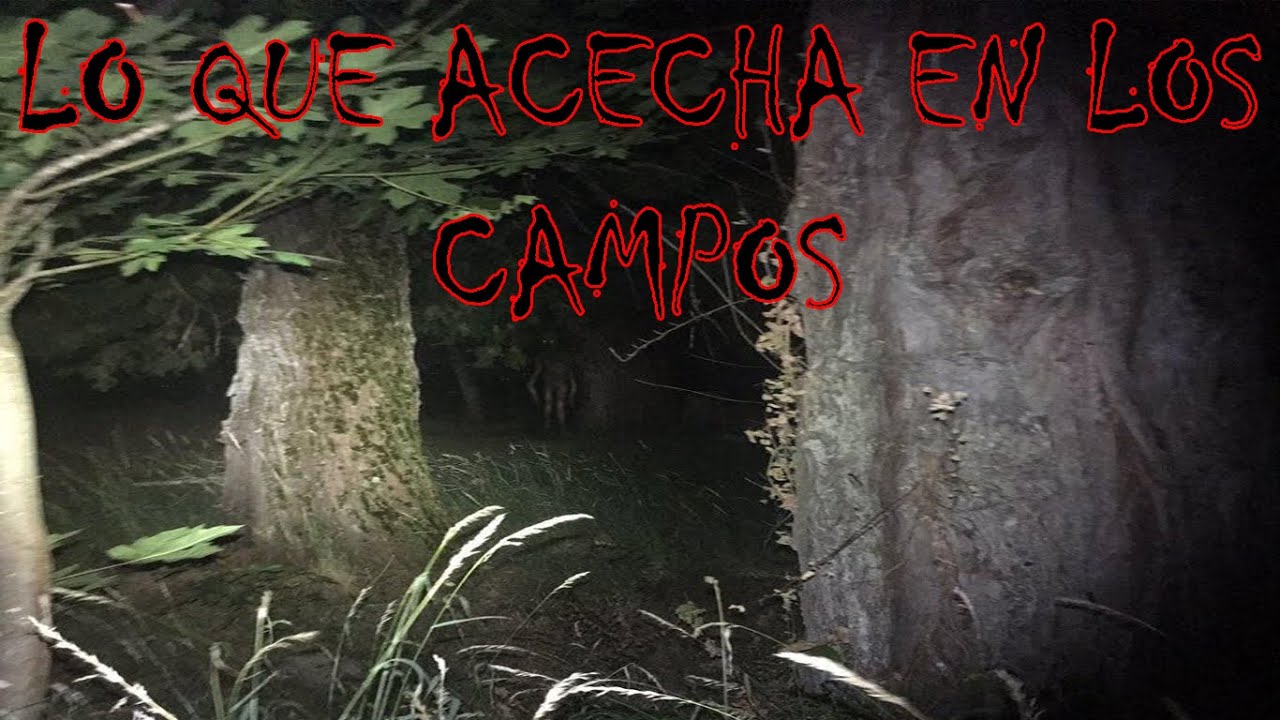 Historia De Terror: Lo que Acecha en los Campos (GMOD)