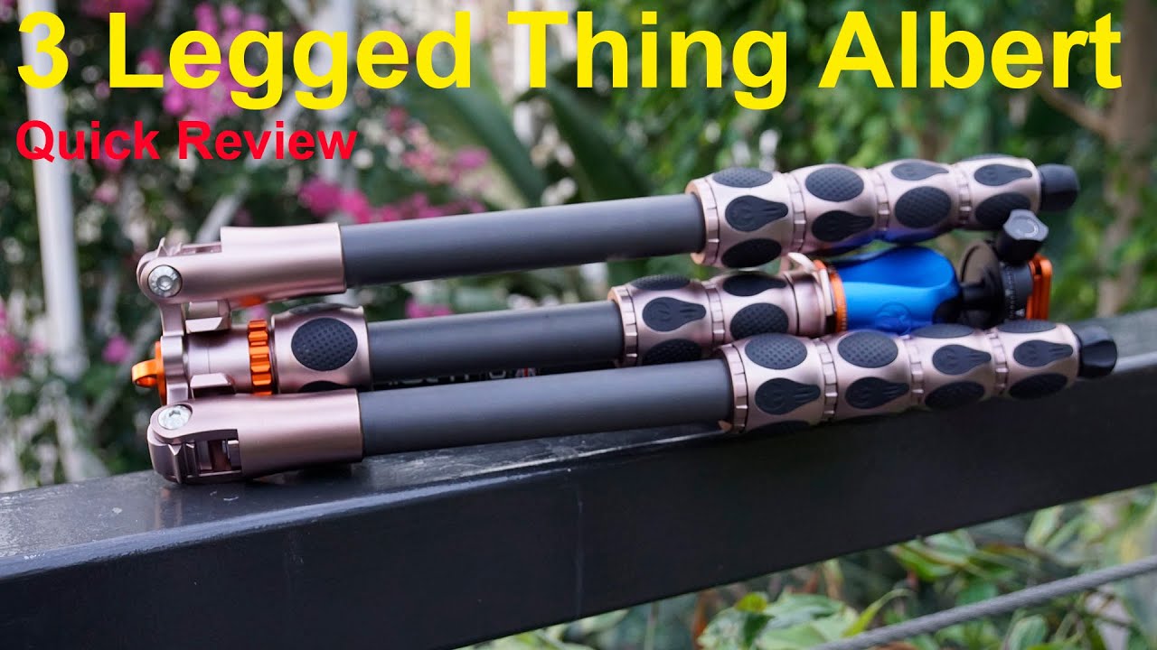 3 Legged Thing Albert Quick Review
