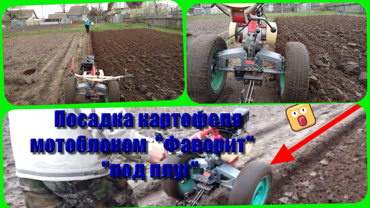 Посадка картофеля мотоблоком Фаворит ,  