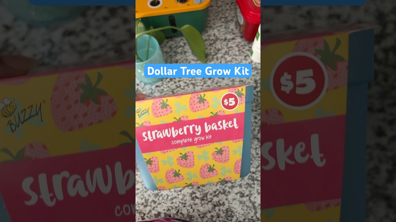 Strawberry Grow Kit | #dollartreefinds #indoorgardening