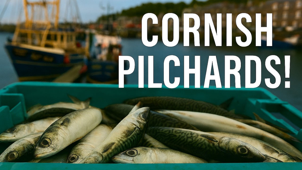 Cornwall - The Pilchard Works