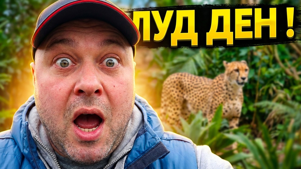 НА ЗООПАРК С НАС