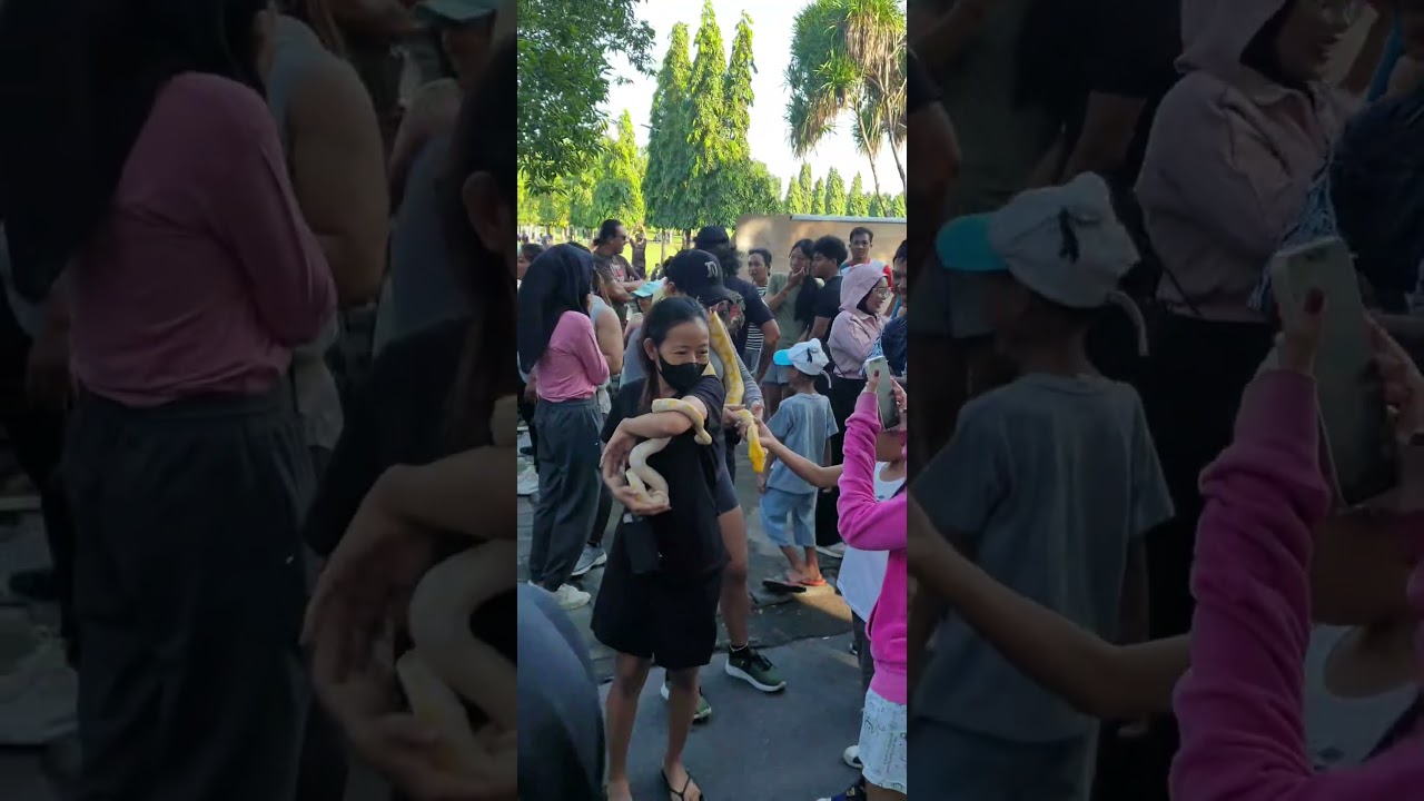 Car Free Day, Lapangan Renon, Bali