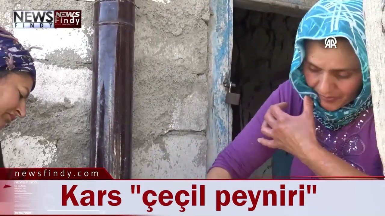 Kars'ta köy kadınları çeçil peynirini böyle yapıyor!