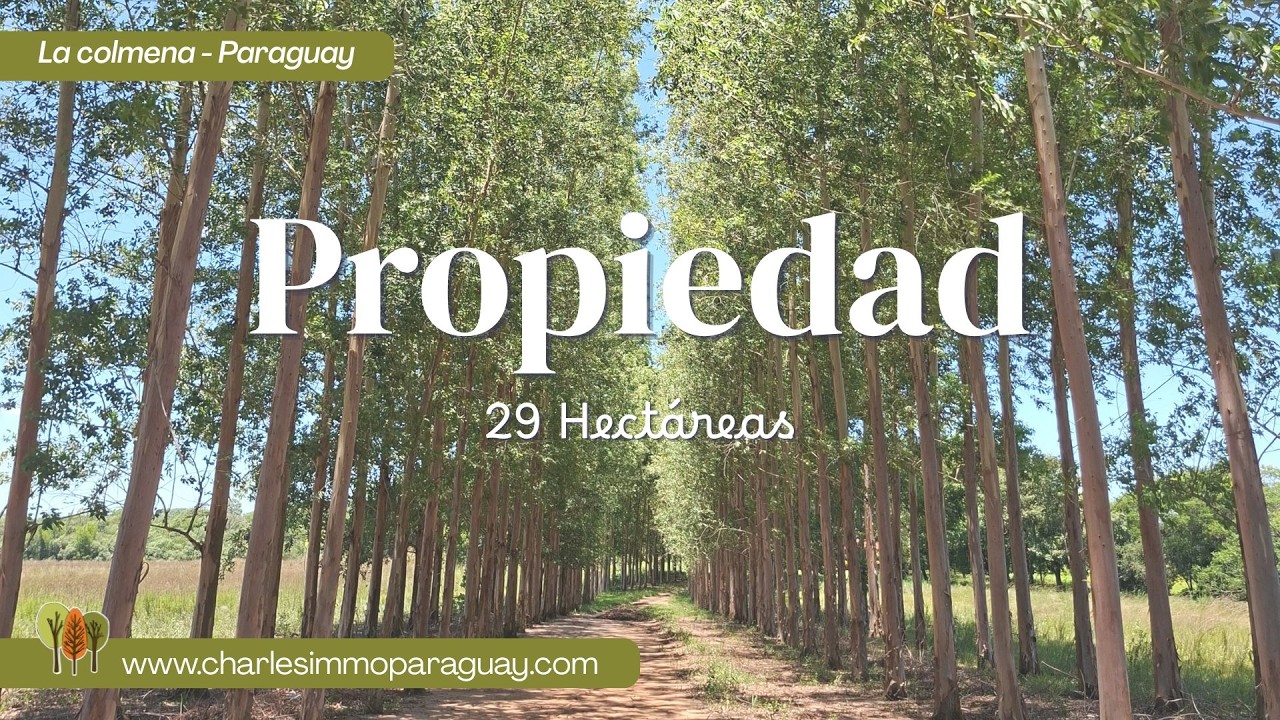 Paraguay La Colmena - Linda Propiedad de 29 ha en venta PY206