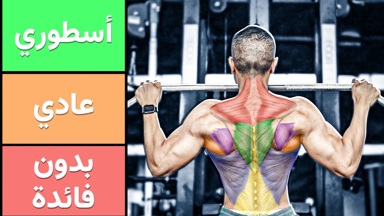 أفضل تمارين الظهر (شرح علمي + تقييم التمارين)