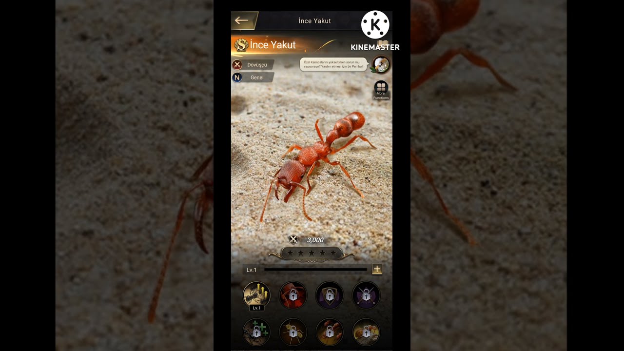 THE ANTS - KARA KANSER ' İ PATLATTIM