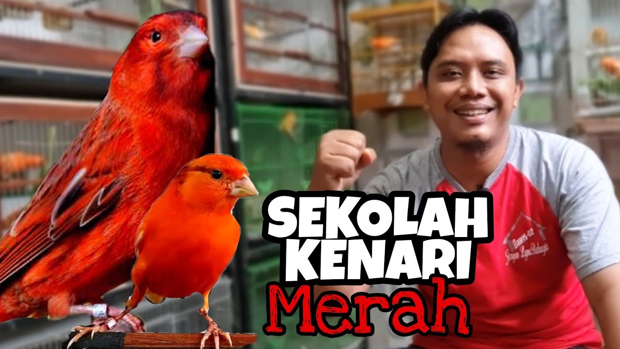 SIMAK BAIK