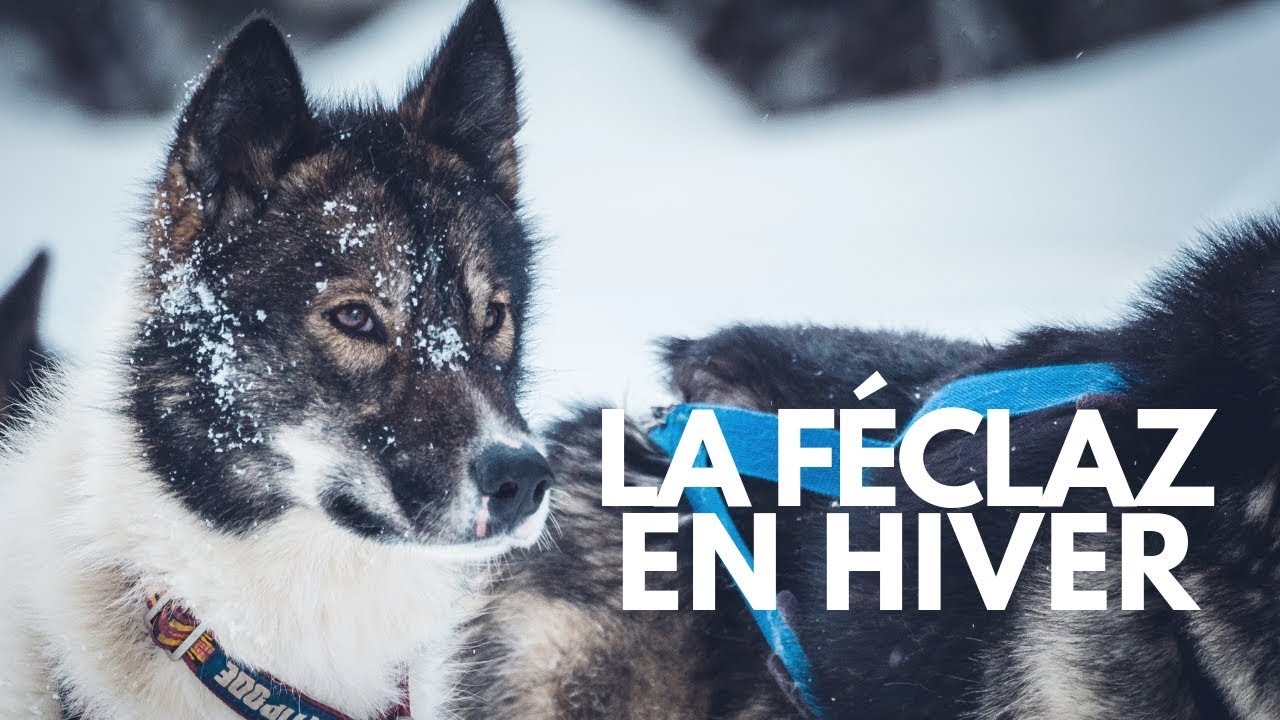 LA FÉCLAZ EN HIVER - VLOG VOYAGE dans les Alpes