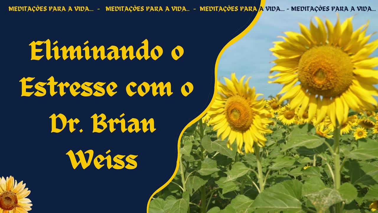 Eliminando o Estresse - Dr. Brian Weiss (sem anúncio barulhento no meio do vídeo)