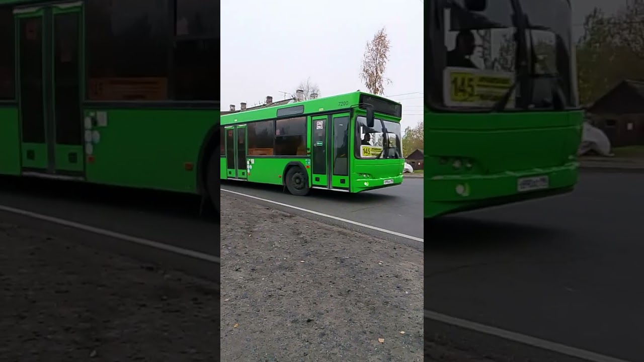 спасибо за 100 подписчиков ! привет @архавтобусы@nodeyasigma@ZaVodila-oy3wo@зелёный-ъ3г