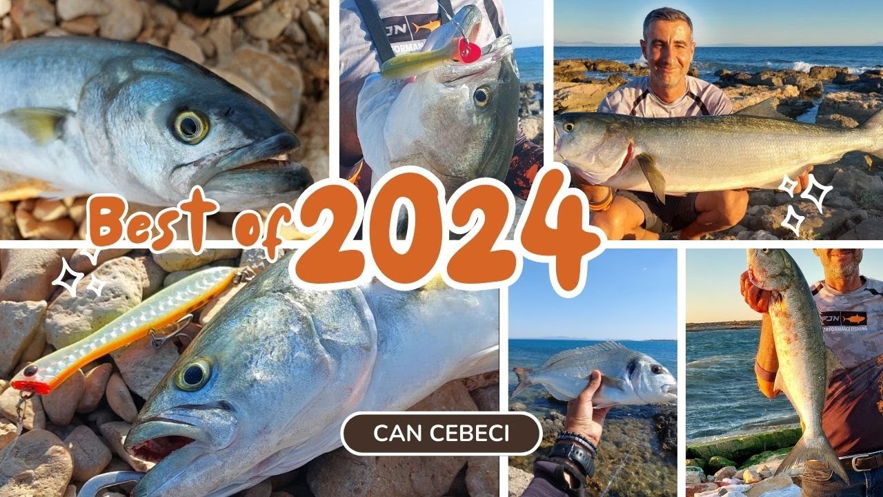 Balık Avı 2024 -Levrek - Çipura - Sargoz - Lüfer - Kofana - Sırtıkara - Çatalkuyruk - Melanur