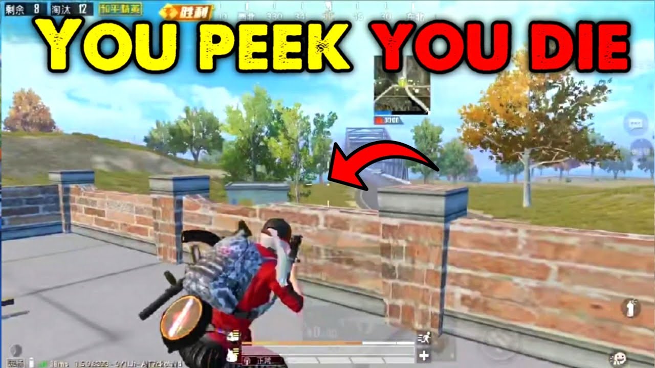 YOU PEEK YOU DIE!!!  | INSANE SNIPING MONTAGE BY PRO CHINESE PLAYER | PUBG MOBILE