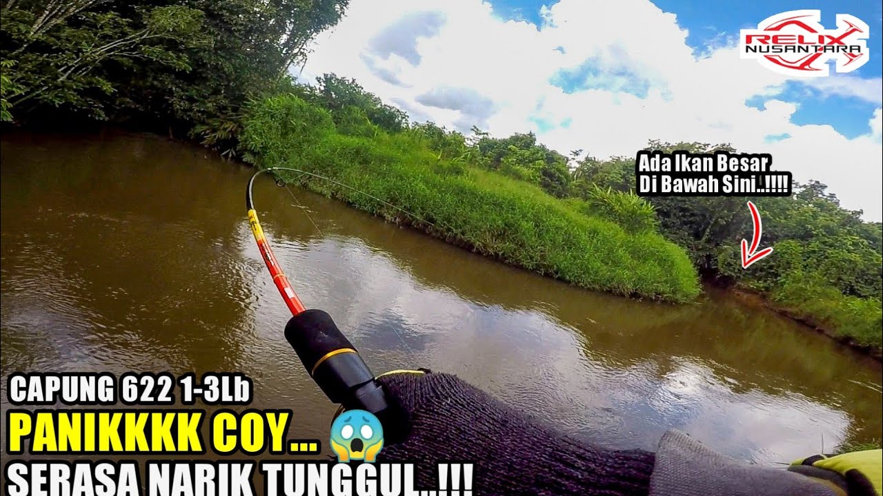 Ngeriiii..!!! Capung 1-3Lb vs Ikan Toman Besar | Ultralight Fishing