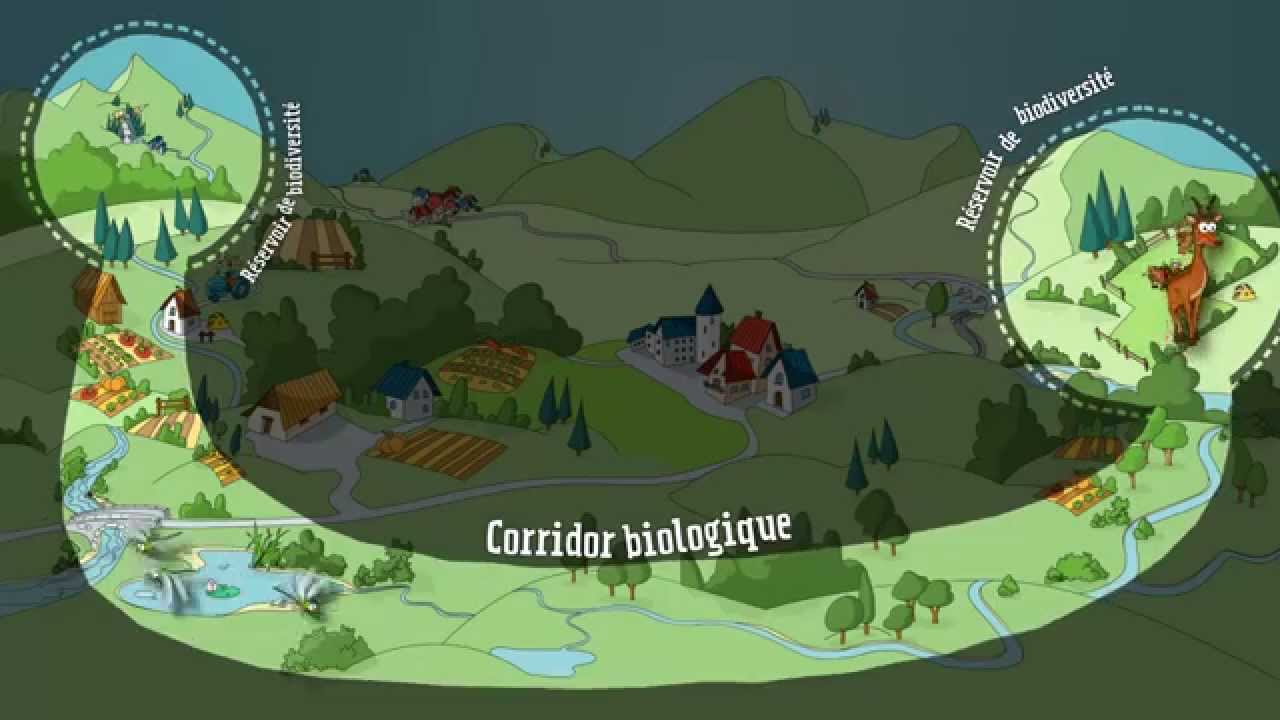 Film sur les corridors Biologiques