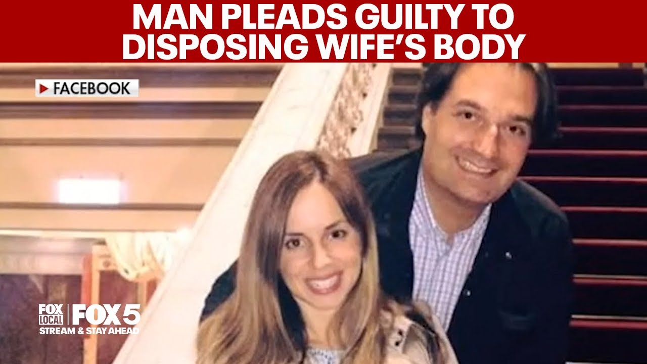 Man pleads guilty to disposing wife's body | Ana Walshe Case Update